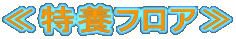 ≪特養フロア≫